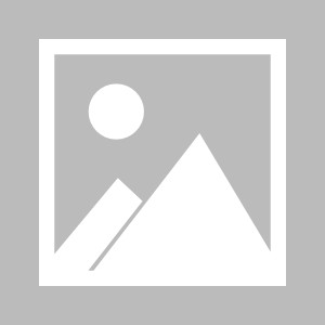 旺财28活力舞台-构建更加均衡、更加科学、更可持续的竞技体育发展新体系|人才|体校|俱乐部|优势|布局